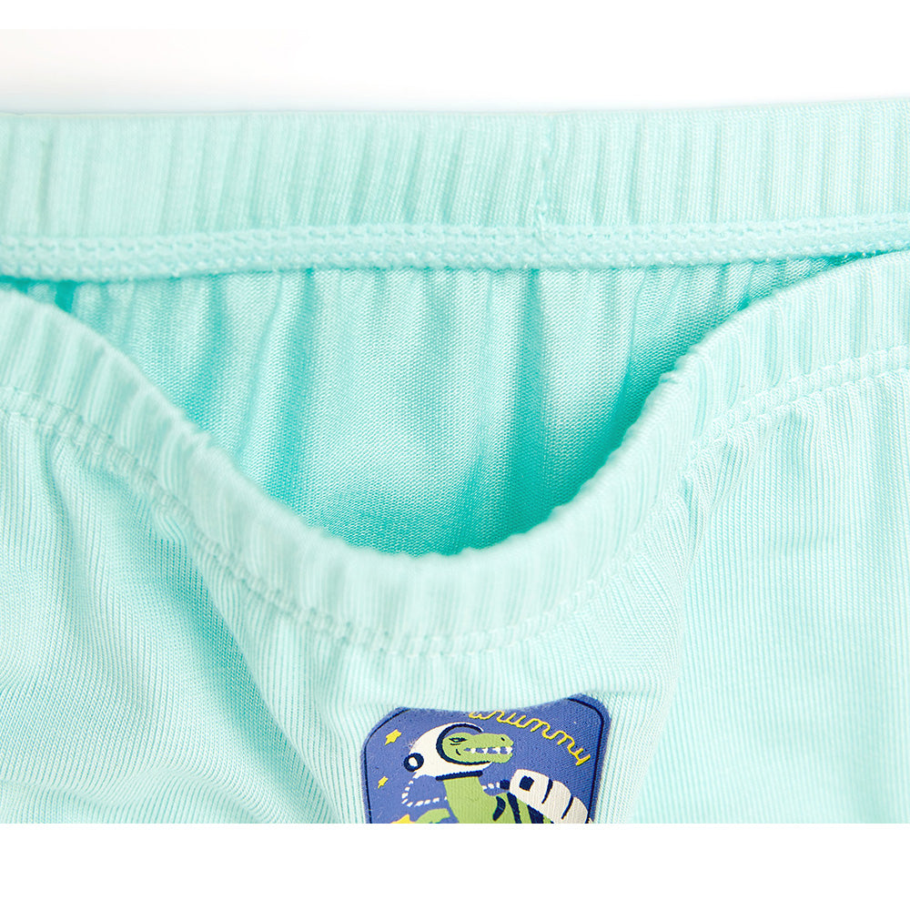 Moonya Moonya Boys Underwear – Tencel Modal Space Dinosaur Check Print Briefs (IS29)