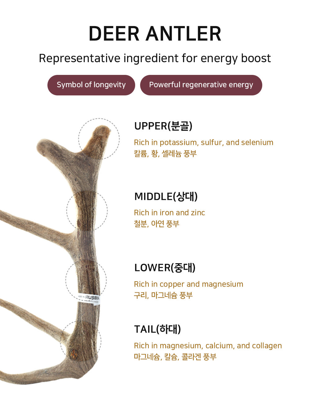 정관장 천녹정 180g × 3병