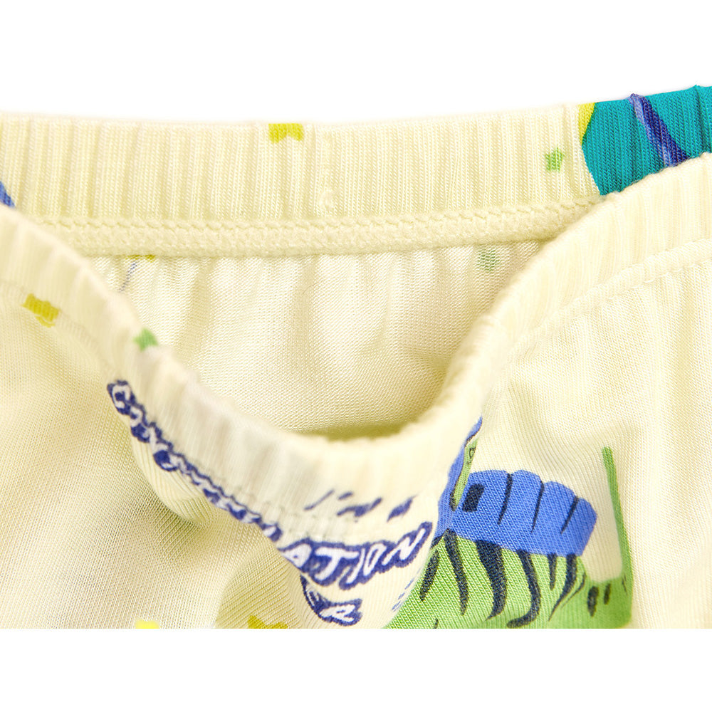 Moonya Moonya Boys Underwear – Tencel Modal Space Dinosaur Check Print Briefs (IS29)