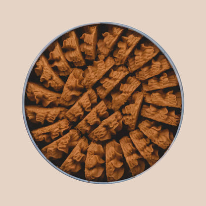 Jenny Cookies Coffee Cookies Large 640g – Rich Coffee Butter Cookies Gift Tin